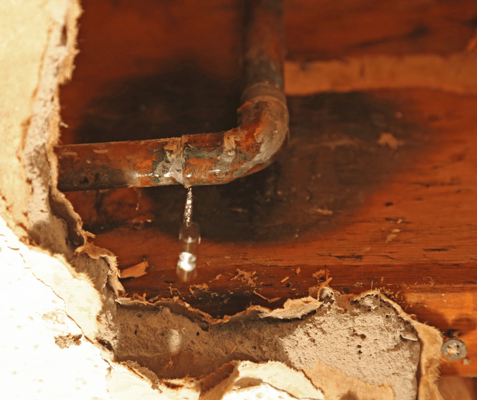 Pipe Leak in Wall